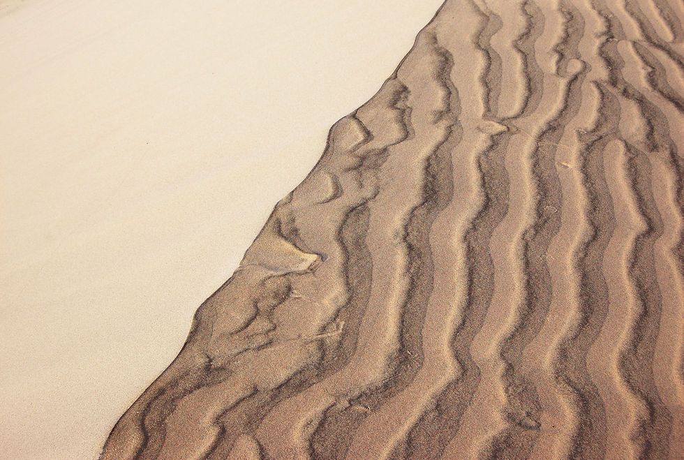 matt-artz-Fu2v5drnMBA-unsplash copy.jpg